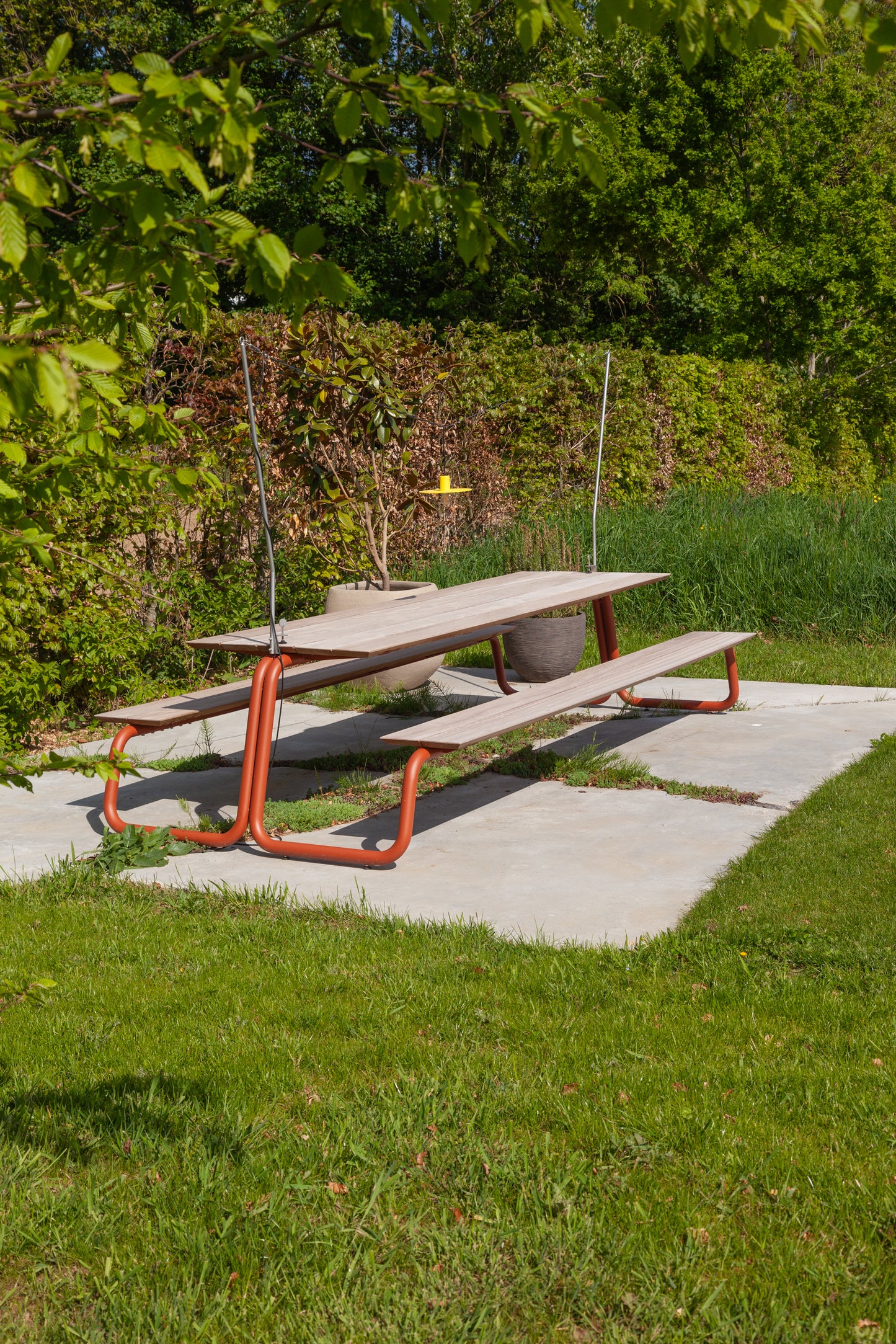 The Table